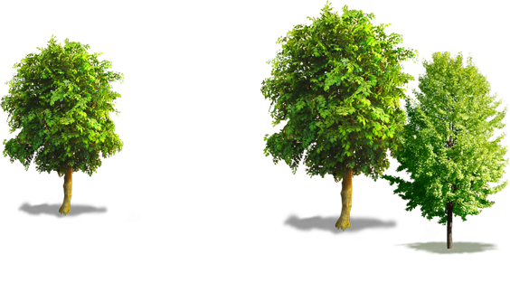 Dentista de Niños Dentista de Niños